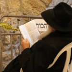 Studium an der Klagemauer Studium an der Klagemauer