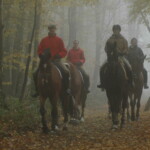 Ritt im Nebel